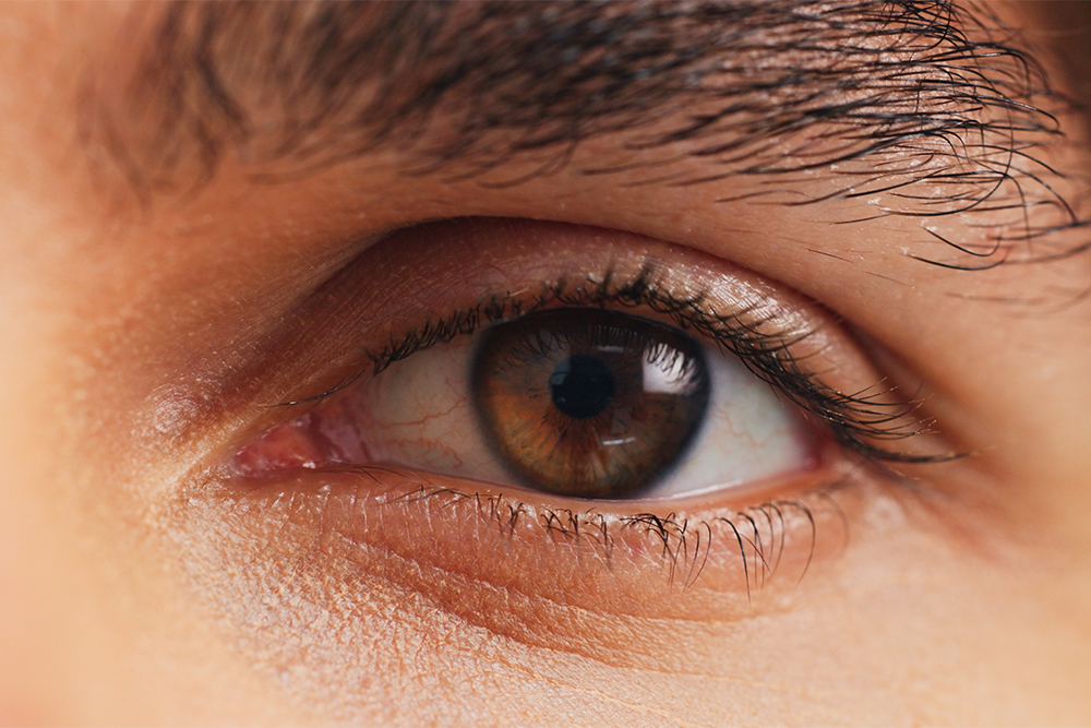 LACRIFILL® (Punctal Plugs) 